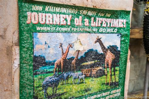 Best Animal Kingdom Rides & Attractions Guide | Full List & Must-Do