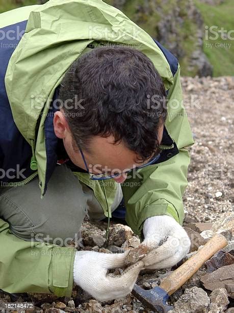 Male Geologist Scientist Looking Close At Rock Sample In Quarry Stock