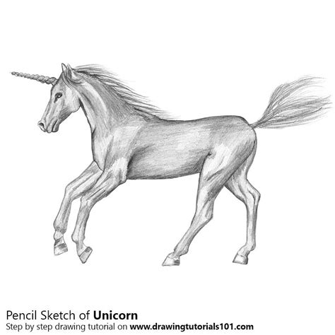 Unicorns are arguably the sweetest mythological creatures that young and and remember that if you do not know how to draw a unicorn you can use our downloadable pdf. Unicorn Pencil Drawing - How to Sketch Unicorn using ...
