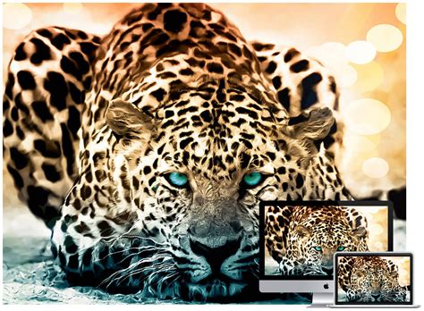 50 Amazing Wildlife And Animal Wallpapers Hongkiat