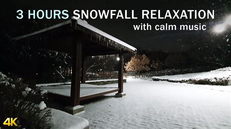 3 Hours Of Relaxing Snowfall Falling Snow Best For