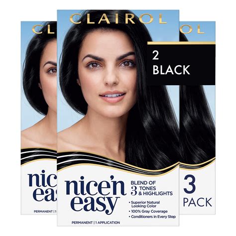 Buy Clairol Nicen Easy Permanent Hair Dye 2 Black Hair Color Pack Of