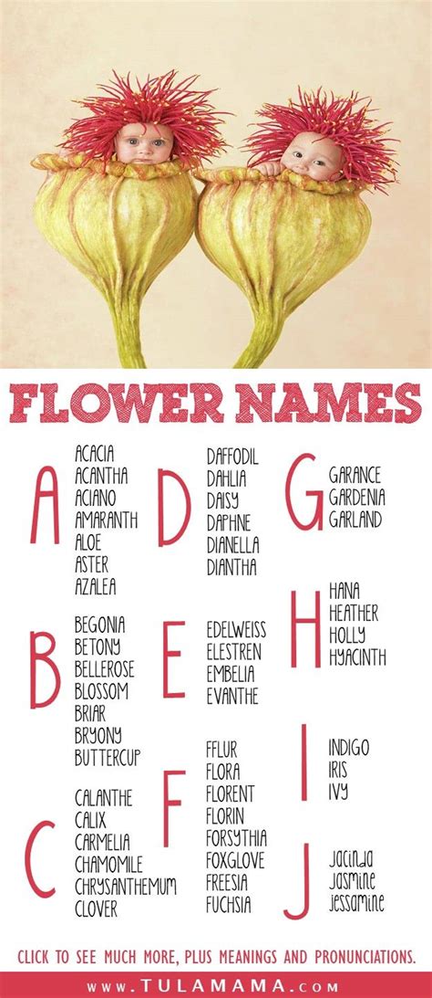 Beautiful Flower Names With Meanings Flower Names Beautiful Flower