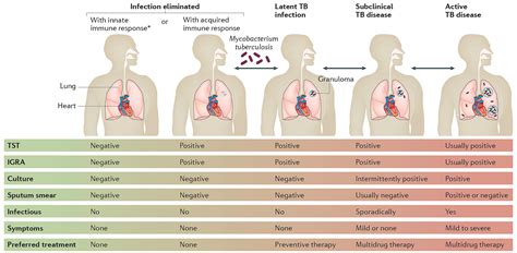 The Spectrum Of Tuberculosis And Why It Matters Microbiology Community