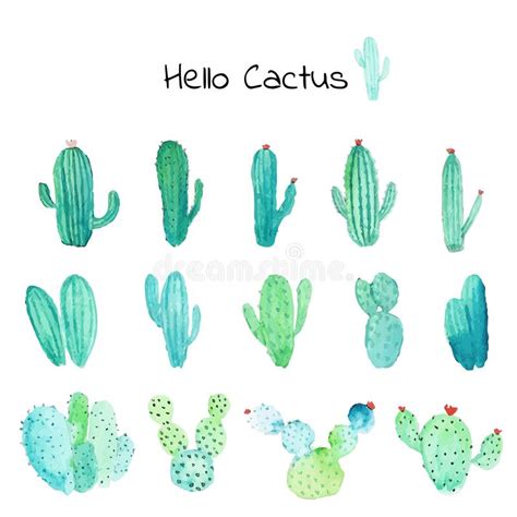 Cactus Succulent Plants Watercolor Set Stock Vector Illustration Of