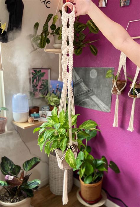 Colgador Trenzado De La Planta De Macrame Etsy