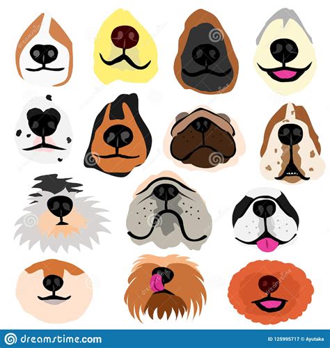 Various Dogs Nose Part Set Stock Vector Illustration Of Hound