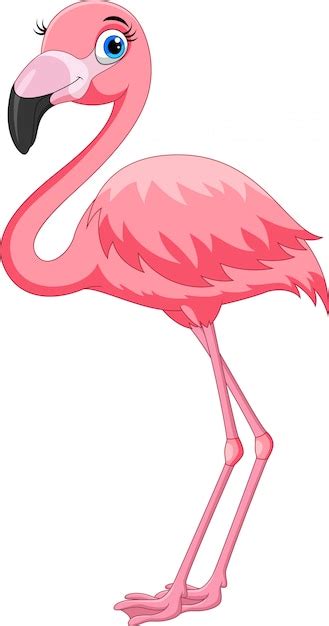 Premium Vector Cartoon Pink Flamingo