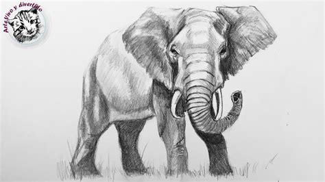 Como Dibujar Un Elefante Realista Con Lapiz Muy Fácil Y Paso A Paso