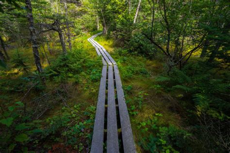 10 Unimaginably Beautiful Places In Maine That You Must