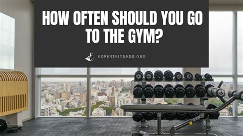 How Often Should You Go To The Gym Expert Fitness