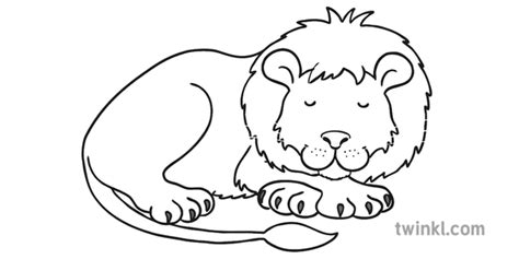 Sleeping Lion Black And White Illustration Twinkl