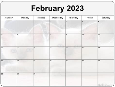 Collection Of February 2023 Photo Calendars With Image Filters
