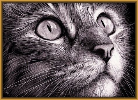 Imagenes De Dibujos De Gatos A Lapiz 1 Dibujos De Gatos Cara De Gato