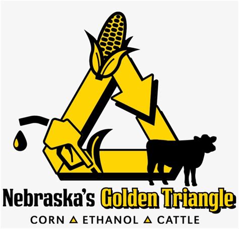 Nebraska Corn Kernels 851x773 Png Download Pngkit