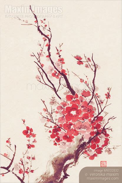 Image Of Beautiful Bright Sakura Blossom Branch With Red Flowers