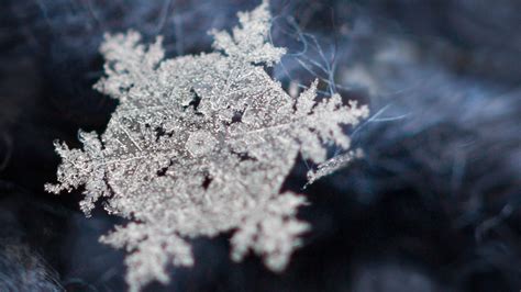 Снежинок В Природе подборка фото топ фотки в большом разрешении