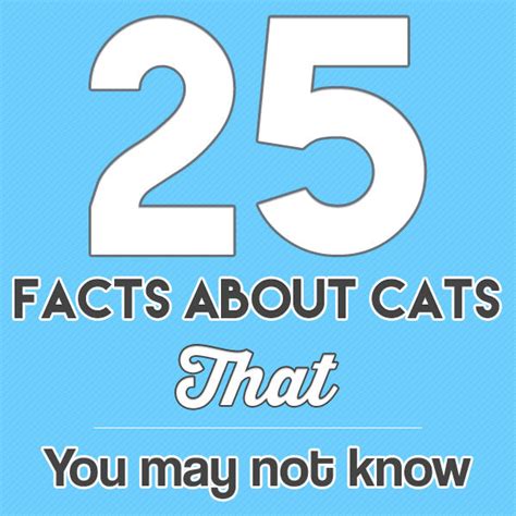 25 Fascinating Facts About Cats You Need To Know Pakapalooza