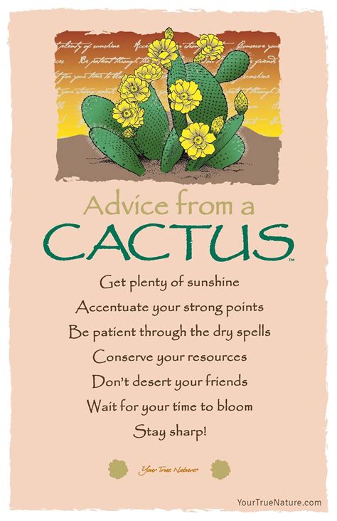 Pin By Windie King On Advice From Cactus Cactus Paintings