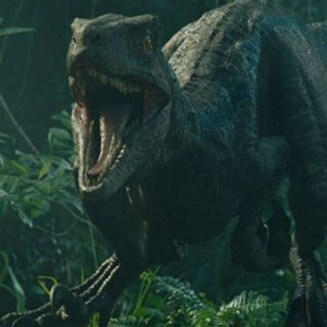Discovernet ‘jurassic World Dominion Finally Has Feathered