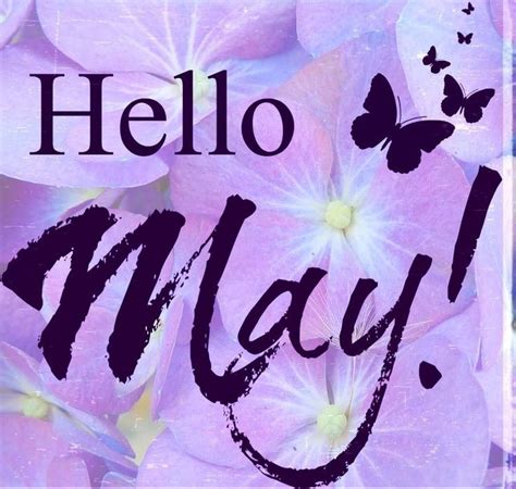 Welcome May Quotes Images Wishes Pictures Hello May Quotes May