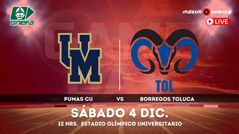 EN VIVO Pumas CU Vs Borregos TOL YouTube