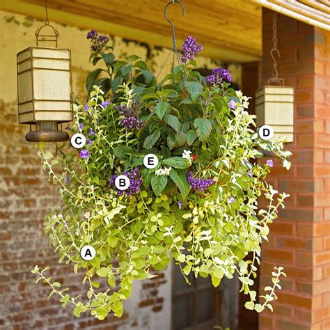 25 Hanging Baskets Youll Want To Plant Immediately In 2020 Plants