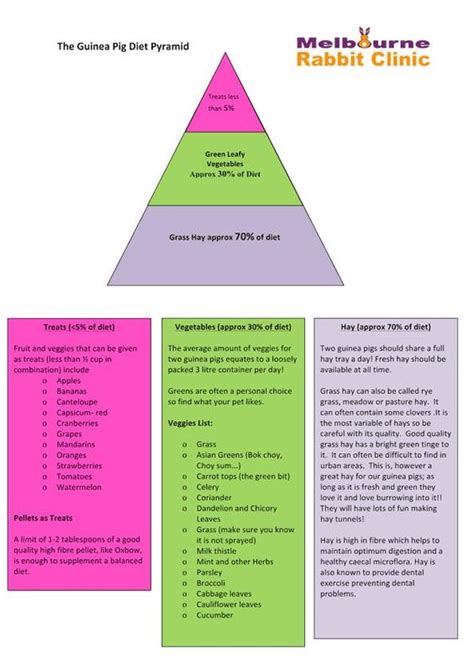 This guinea pig food list should help you understand what your little one needs to thrive. Guinea Pig Food Pyramid by Melbourne Rabbit Clinic ...