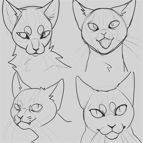 Cat Style Study By Uoneko On Deviantart Cat Face Drawing Cat
