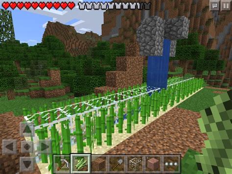 You pretty much just plant a cactus block and wait for it to grow. Tutorials/Sugar cane farming - Official Minecraft Wiki