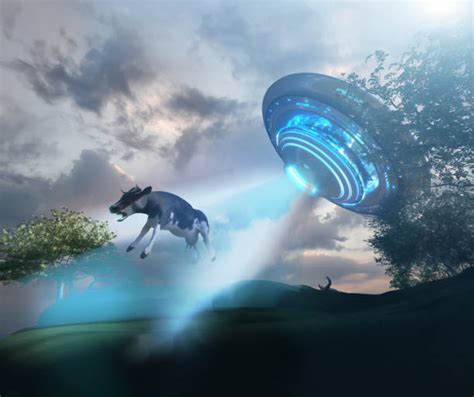 350 Ufo Cow Stock Photos Pictures And Royalty Free Images Istock