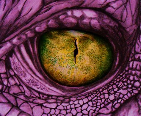 Dragons Eye Coloured Pencil On Paper Dragon Eye Drawings Eyes