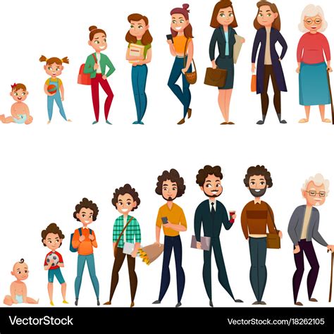 Human Life Cycle Vector Illustration Male And Female Grow And Age