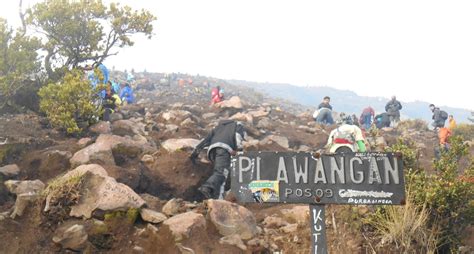 Jalur Pendakian Gunung Slamet Mdpl Via Bambangan
