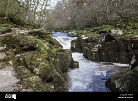 The Strid At Bolton Abbey Yorkshire Dales Uk Stock Photo Alamy