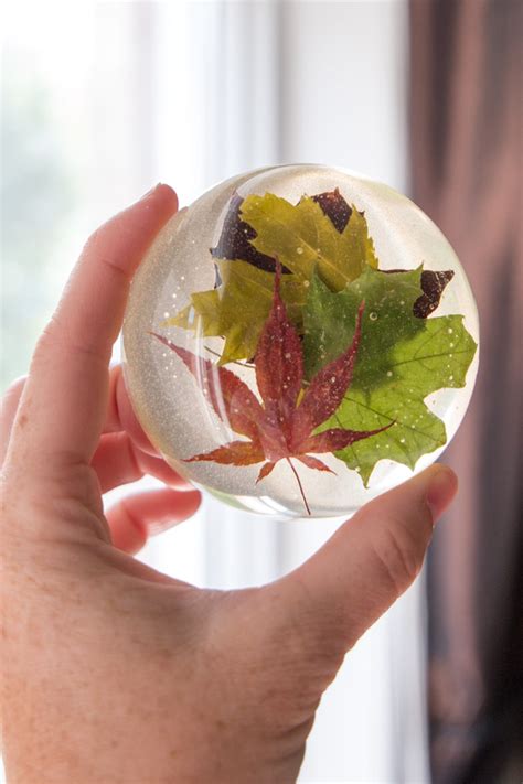 Live resin describes a particular type of concentrate extracted from fresh cannabis plant material. DIY Late-Summer Maple Leaf Resin Paperweight - Resin Crafts