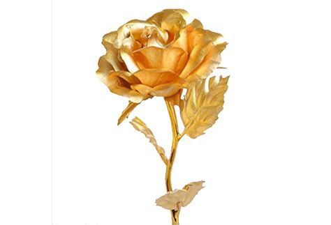 Golden Rose Png Download Image Png Arts