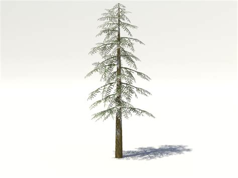Conifer Tree Snow 3d Model 3d Models World