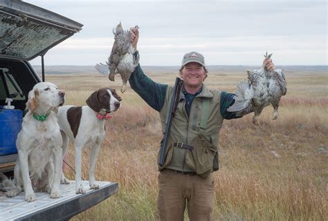 Sharp Tailed Grouse — Montana Upland Outfitters