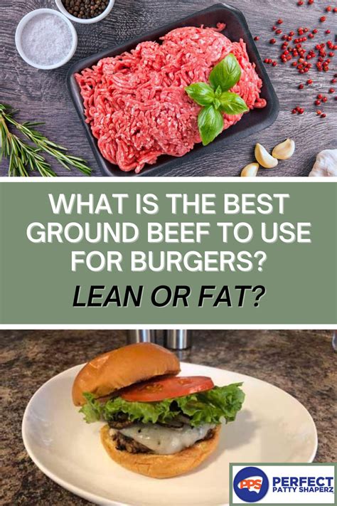 What Is The Best Ground Beef For Burgers Perfect Patty Shaperz