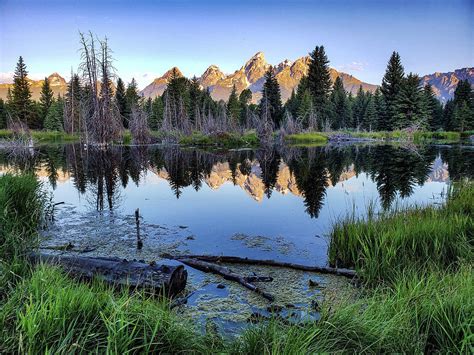 Schwabacher Landing Reflections Photograph By Alicia Blatt Fine Art