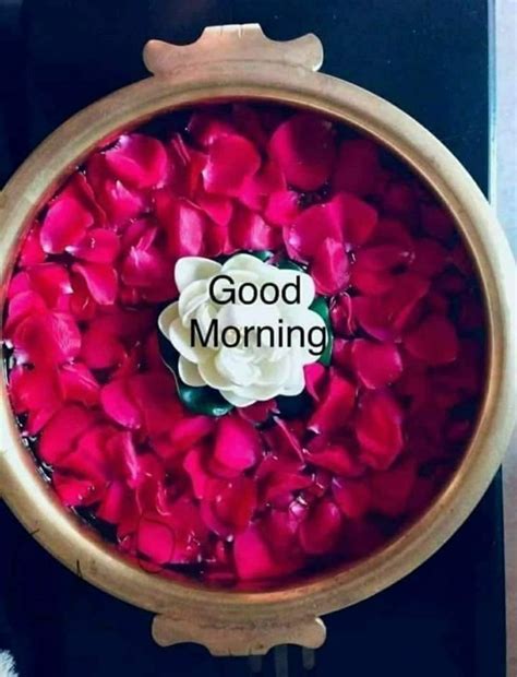 ปักพินโดย Dinesh Kumar Pandey ใน Good Morning สวัสดีตอนเช้า วันอาทิตย์ อรุณสวัสดิ์