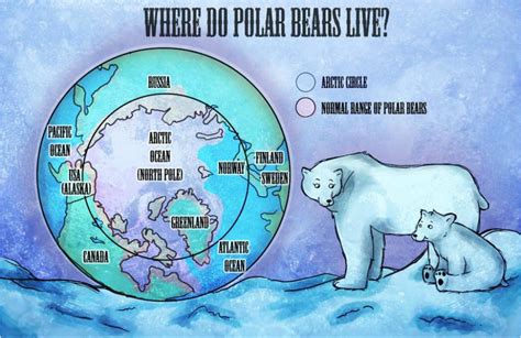 Polar Bear Map Polar Bears