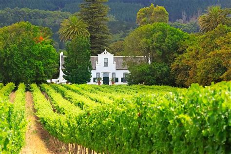 Full Day Private Cape Winelands Tour With Airport Shuttle Triphobo