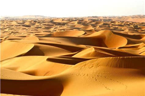 10 Largest Deserts In The World