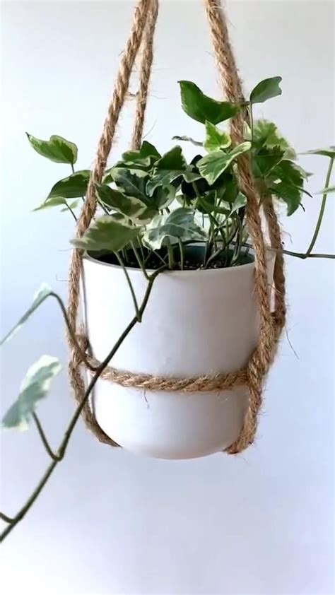 Diy Hanging Planters To Display Indoors Or Outdoors Video Video