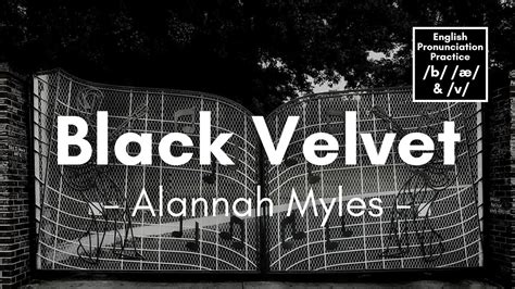 Black Velvet By Alannah Myles Lyrics Youtube