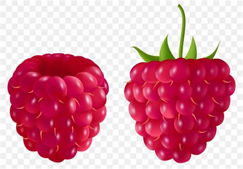 Raspberry Blackberry Fruit Clip Art PNG 4590x3218px Raspberry Berry