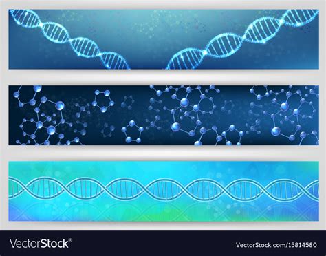 Dna And Molecule Banner Concept Royalty Free Vector Image