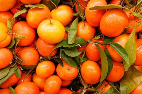 Usos Que Desconocías De La Cáscara De Naranja